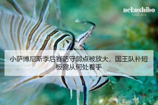 xiao-sa-bo-ni-si-ji-hou-sai-fang-shou-ruo-dian-bei-fang-da-guo-wang-dui-bu-duan-ban-xu-cong-he-chu-zhuo-shou-2-588.jpg